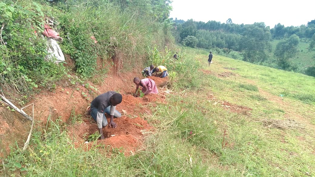 Agricultural Education